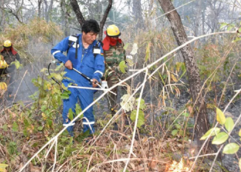 Presidente da Bolívia se perde na selva enquanto combate incêndios