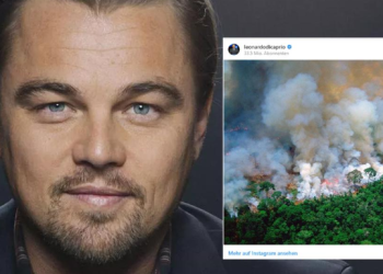Destruição da Amazônia por Bolsonaro revolta DiCaprio: aterrorizante