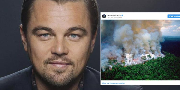 Destruição da Amazônia por Bolsonaro revolta DiCaprio: aterrorizante