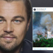 Destruição da Amazônia por Bolsonaro revolta DiCaprio: aterrorizante
