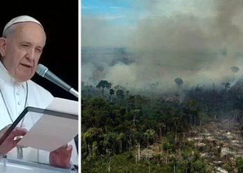 Papa veta políticos com mandato no Sínodo da Amazônia