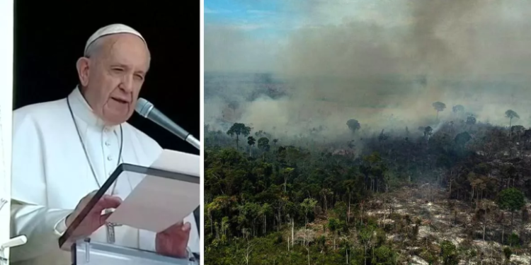 Papa veta políticos com mandato no Sínodo da Amazônia