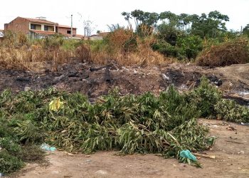 População do Lima Verde e Safira sofrem com lixão na MA 201, crime ambiental e também um problema de saúde publica para os moradores.