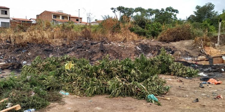 População do Lima Verde e Safira sofrem com lixão na MA 201, crime ambiental e também um problema de saúde publica para os moradores.
