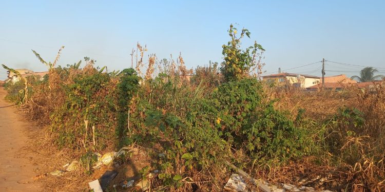 Terreno Baldio no Lima Verde Gera Transtornos para Moradores: Foco de Lixo, Queimadas e Insegurança